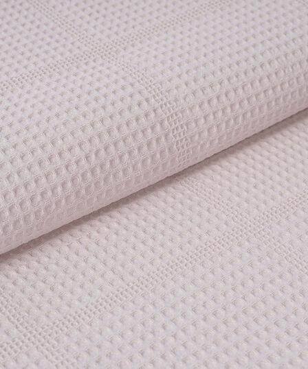 تيرا بايك - 12