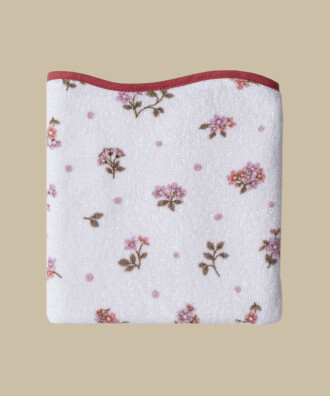 CELORA HAVLU - 2