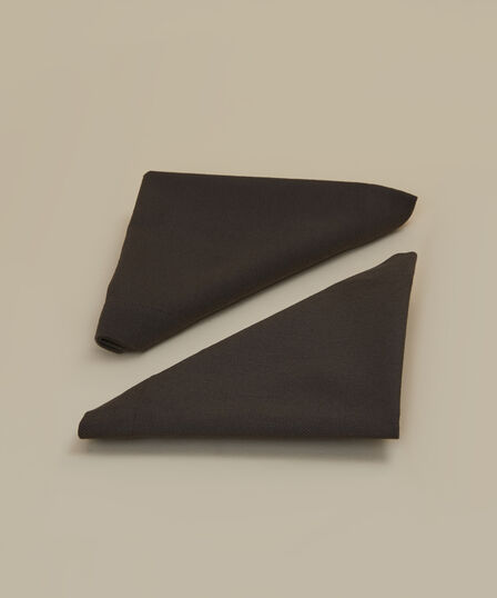 DENIM COLLECTION 2-PACK NAPKIN 40X40 BROWN